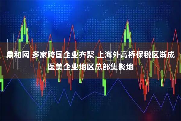 鼎和网 多家跨国企业齐聚 上海外高桥保税区渐成医美企业地区总部集聚地