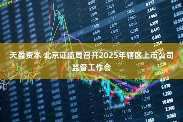 天盈资本 北京证监局召开2025年辖区上市公司监管工作会