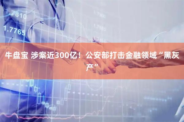 牛盘宝 涉案近300亿！公安部打击金融领域“黑灰产”