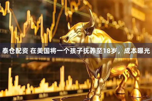 泰仓配资 在美国将一个孩子抚养至18岁，成本曝光